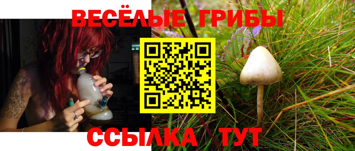 Псилоцибиновые грибы мухоморы  Вход с VPN  наркошоп  Галлюциногенные грибы мицелий  Лангепас 