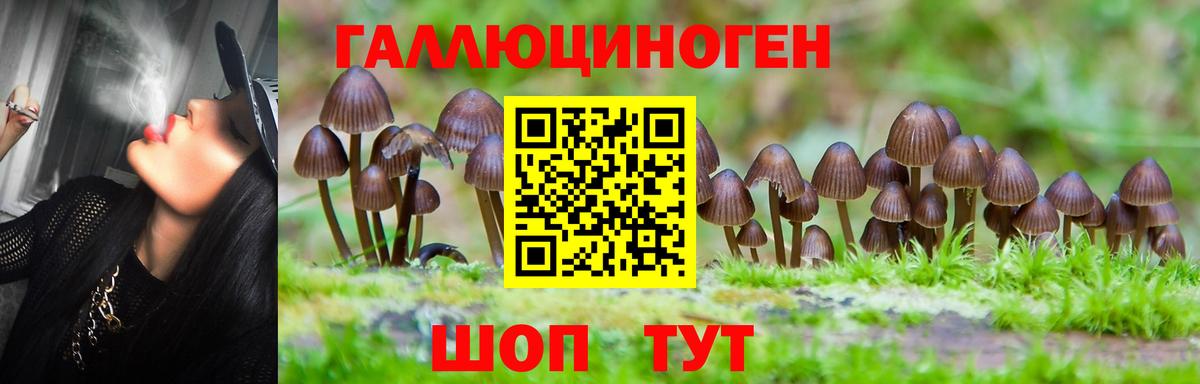 Псилоцибиновые грибы Psilocybine cubensis Лангепас